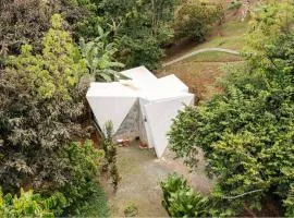 Farm Suite San Pedrito
