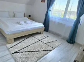 Cozy SoRaDa 3 apartment