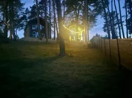 Na skarpie