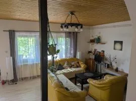 Big family apartment close to the ring