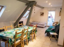 Appartement charmant à Lohr + 60 m² + terrasse et jardin