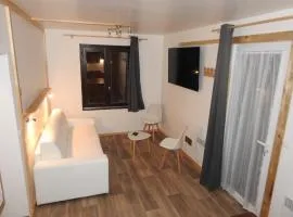 Joli Appartement Vallouise Centre Montbrison 3