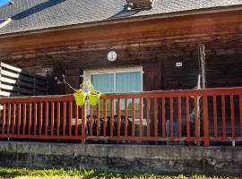 Maison accueillante à La Salvetat-sur-Agout avec terrasse