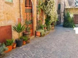Charming House in Barbarano Romano with Terrace and Fireplace