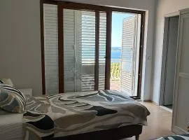 Room Blue View