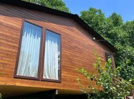 Wooden house in a rural garden, quiet pleasant environment
