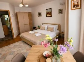 Apartments Dragulji Kruševac Central Stay
