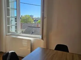 Appartement lumineux avec vue sur le château