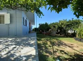 Vila Mare Mateo