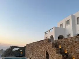 Anemoessa