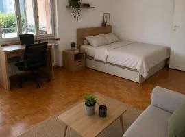 Lake & City Zurich Stay