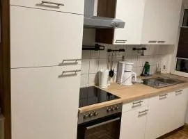 FeWo Wieko Plauen Leibnizstr H1 3 OG Mitte
