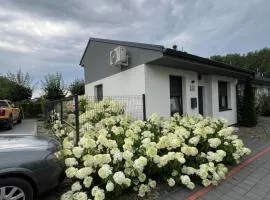 Hortensja 2 Check-in 24H