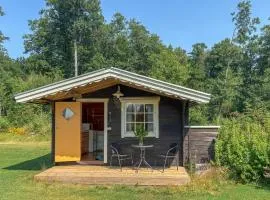 Gorgeous Home In Värnamo With House Sea View