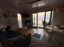 Knobis DreamPlace