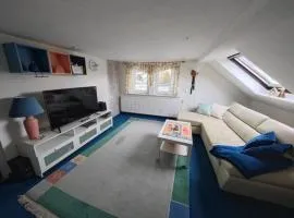 Ferienwohnung Siegmund Dachboden
