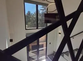 A 7min del Parque Central y 2min del IGSS, rodeado de naturaleza Tipo LOFT5