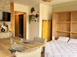 Studio neuf parking proche centre-ville