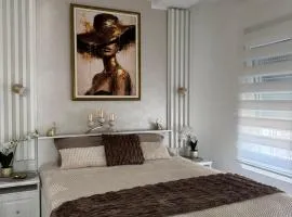 Angel Luxury Apartment