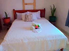 PalmPath Apartment