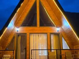 Cottage MTIS DZIRSHI