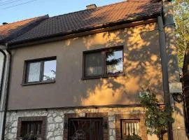 Sklípek Glosovi