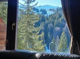 Jahorina Ski View Apartman