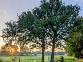 Ferienwohnung im Grünen mit Terrasse, Garten und vielem mehr