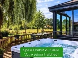 Grand Gîte Le Saule en Scie - 3 étoiles - Spa, 6 à 14 pers, jardin clos, 30 mn PuyduFou