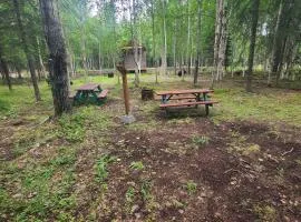 Houston Grass Station Campsite #24