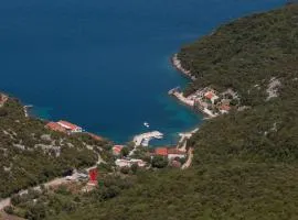 Seaside holiday house Cove Vela Prapratna (Peljesac) - 9486
