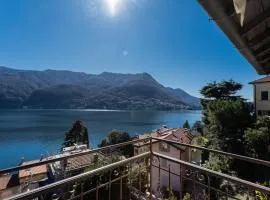 Dreaming Terrace