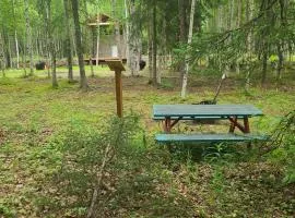 Houston Grass Station Campsite #25