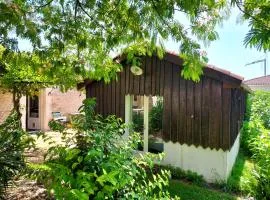 Cabane & Jardin