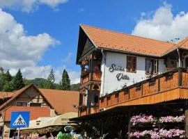 VILA SZOKE SOVATA