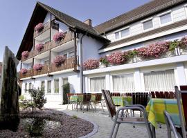 Gasthaus Seehof, hotell sihtkohas Iznang