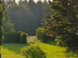 Waldblick