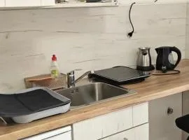Banja Vrujci apartmani Vukovic