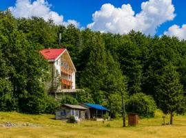 Great Mountain B&B Platak