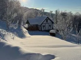 Village house Marković