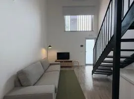 AlvaLoft Barreiro