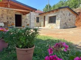 Villa Ndoj Bukmire