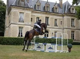 Chateau des Trois Brioux
