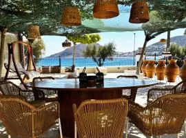 Palatino Seafront Residence