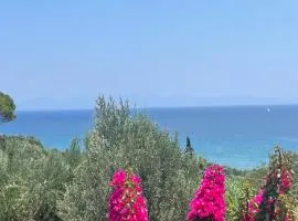Olive & Sea Villa Koroni