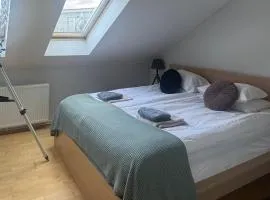 Scandinavian Home Apartment