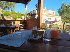 Villa Rosa in Surrau