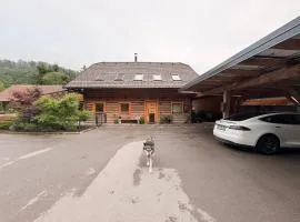 The Sawmill Loft Lake Cerknica