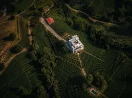wicky villa