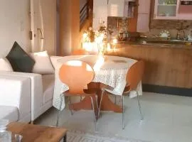 apartment rental sousse